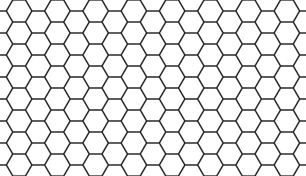 hexagan line art on white background vector art illustration