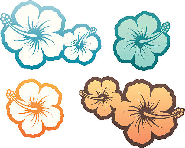 Hibiscus design element Hibiscus design elements. Hires jpeg 300 dpi + CS3 AI file included. Similar illustrations - see my portfolio... big island hawaii islands stock illustrations