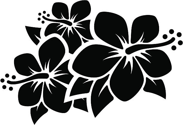 Hibiscus Flowers Group of tropical flowers. Professional clip art for your print project or Web site. hawaiian culture stock illustrations
