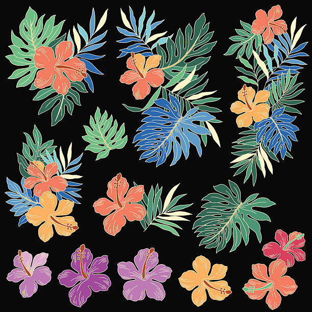 Clip Art Of Hawaiian Flower Border Illustrations Royalty Clip Art Of Hawaiian Flower Border Illustrations Royalty