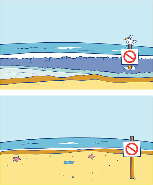 High Tide and Low Levels High Tide. Cartoon style illustration of the tide going in and out. Check out my "Nautical & Beach" light box for more. low tide stock illustrations