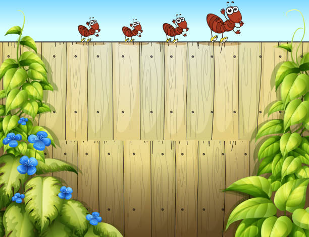 high wooden fence with ants high wooden fence with ants ant clipart pictures stock illustrations