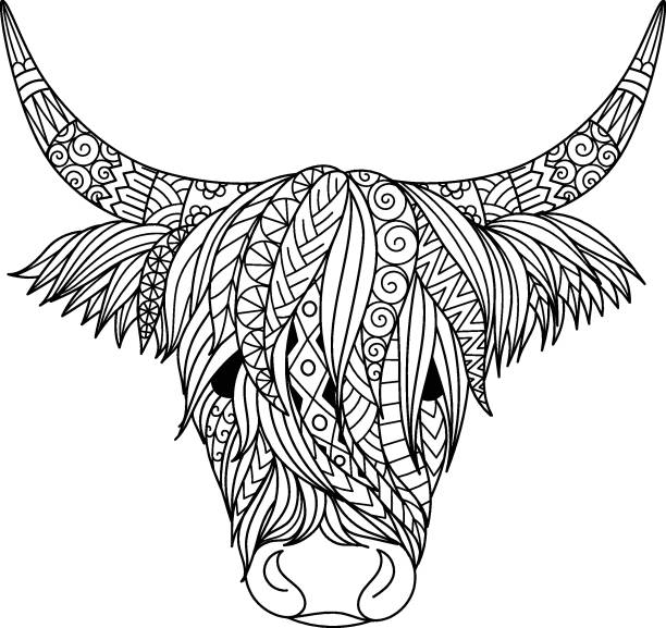 Highland cow Highland cow design for coloring book,coloring page, t shirt design and so on. Vector illustration printable cow stock illustrations