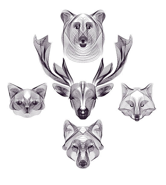 hipster animal head Hipster vector animal head set. Deer, wolf, bear, fox, cat. Wild animals illustration for posters, greeting cards, flyers, banner, web designs. Holiday, wedding, business, birthday, party invitations wolf face outline drawing stock illustrations
