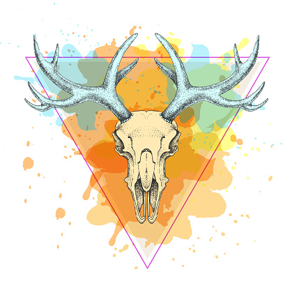 Hipster animal skull on artistic polygon watercolor background. Skull of deer