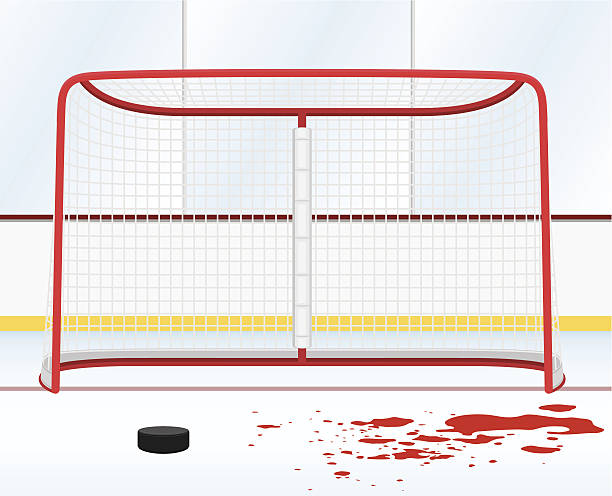 hockey arena - hockey net stock illustrations, clip art, cartoons, & ic...