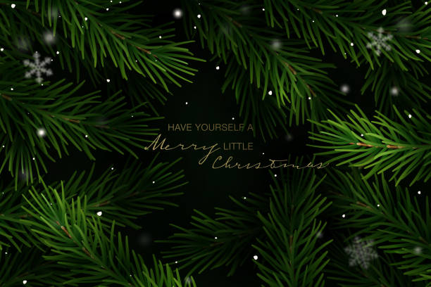 Holiday Greeting Card. Vector Illustration. Christmas frame with fir tree branches and hand lettering. Vector Illustration. christmas tree close up stock illustrations