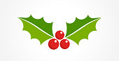 istock Holly berry Christmas icon. Element for design 1069723068