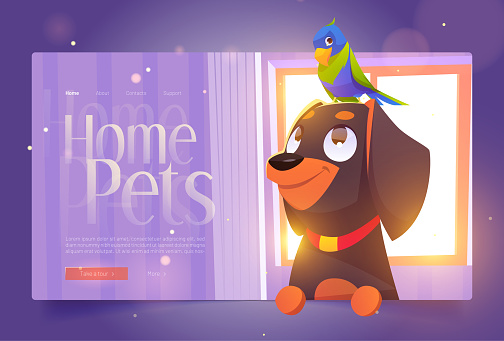 Home pets banner with cute dog and parrot
