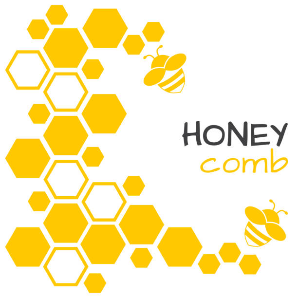 Honey abstract background with honeycomb and bee. Vector illustration  beehive stock illustrations