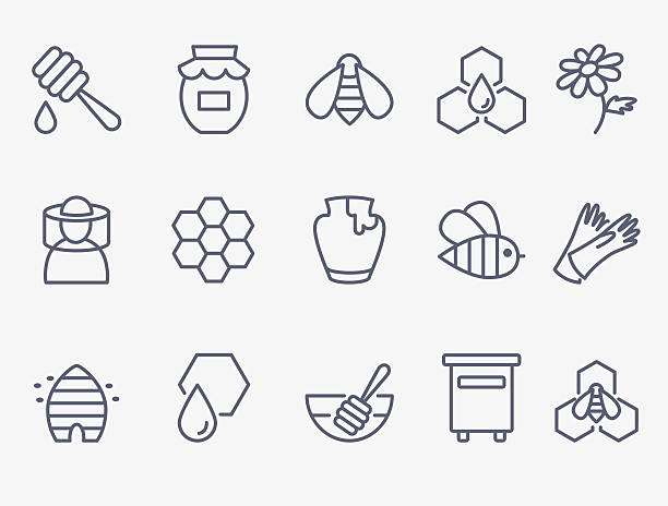 Honey and beekeeping icons Set of 15 honey and beekeeping icons honey stock illustrations