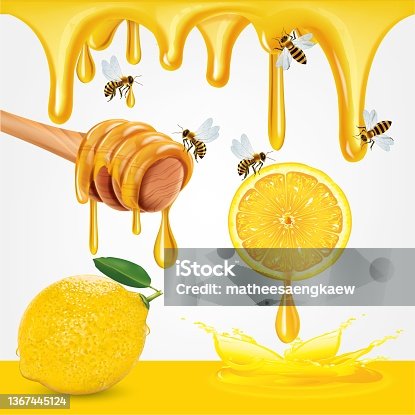 istock Honey and sliced lemon with lemon leaves isolate on white background, vector illustration 1367445124