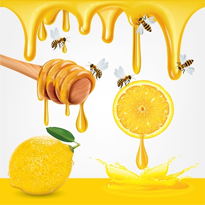 Honey and sliced lemon with lemon leaves isolate on white background, vector illustration