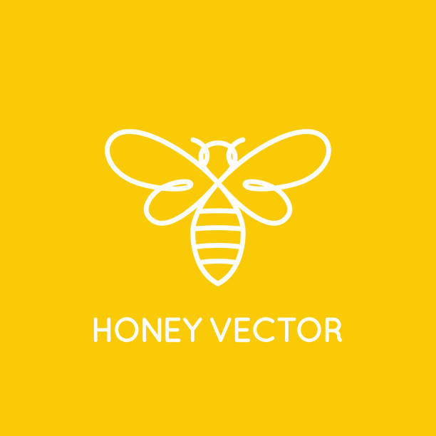 Honey bee concept - emblem for food packaging Vector icon design template in trendy minimal linear style - honey bee concept - emblem for food packaging bee stock illustrations