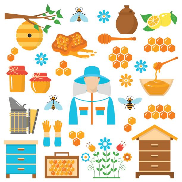 Honey beekeeping vector flat icons set Beekeeping honey vector flat icons set with apiculture equipment, beekeeper, smoker, beehive, bee, honeycomb, jar and dipper stick isolated on white background. beehive stock illustrations