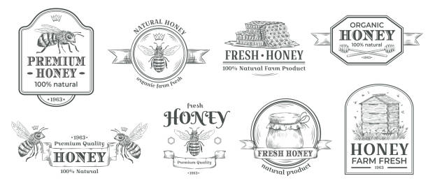 illustrazioni stock, clip art, cartoni animati e icone di tendenza di distintivo della fattoria del miele. logo apicoltura, badge di api retrò e set di illustrazioni vettoriali di etichette di idromele disegnate a mano vintage - miele