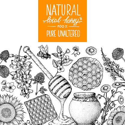 Honey hand drawn vector illustration. Healthy food illustration. Lettering Natural local honey 100% PURE UNALTERED. Honeycomb, flowers, jar of honey sketch.