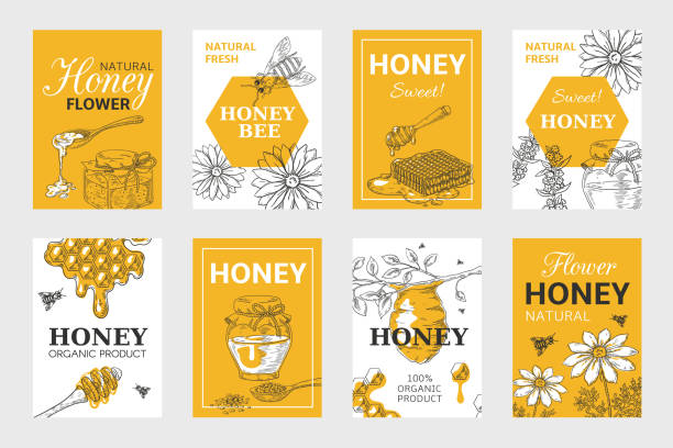illustrazioni stock, clip art, cartoni animati e icone di tendenza di poster di schizzi di miele. set volantino nido d'ape e api, design di cibo biologico, alveare, vaso e layout fiori. elementi vettoriali disegnati a mano - miele