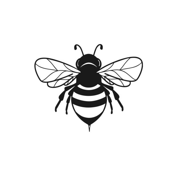 stockillustraties, clipart, cartoons en iconen met het abstracte symbool van de honingbij in vector - bijen