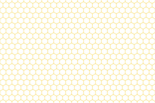 Honeycomb seamless background. Vector illustration.  beehive stock illustrations