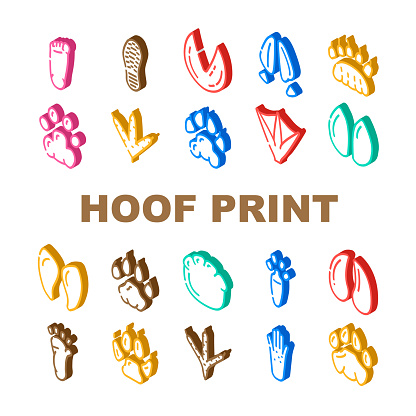 Hoof Print Animal, Bird And Human Shoe Set Vector