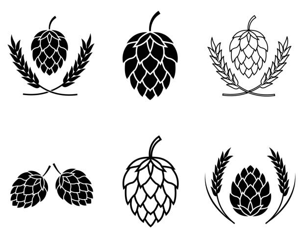 illustrations, cliparts, dessins animés et icônes de icône de ensemble d'houblon, logo d'isolement sur le fond blanc - bière