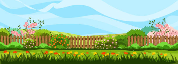 Horizontal spring landscape with garden, fence, trees in bloom, bushes and blue sky. Lawn with red and yellow flowers. Rural background in cartoon flat style with copy space. garden stock illustrations
