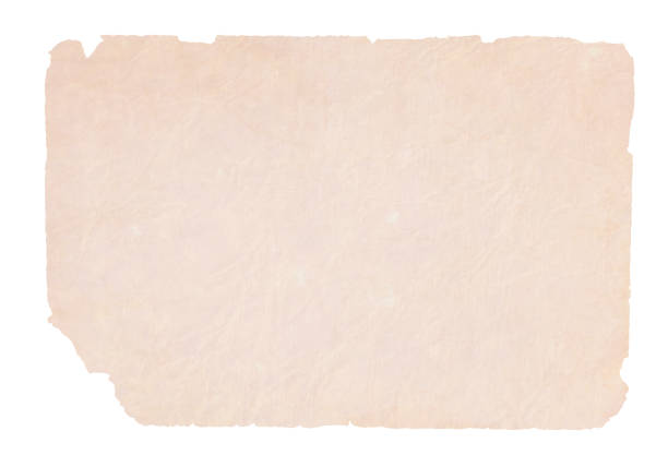 bildbanksillustrationer, clip art samt tecknat material och ikoner med en horisontell vektor illustration av en vanlig blank beige färgad mycket gamla rippade papper - rivet papper