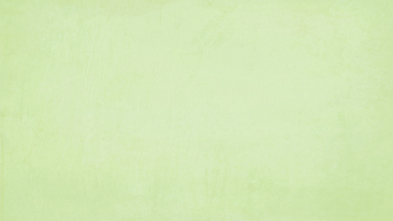 Horizontal vector Illustration of an empty pale green color textured effect background