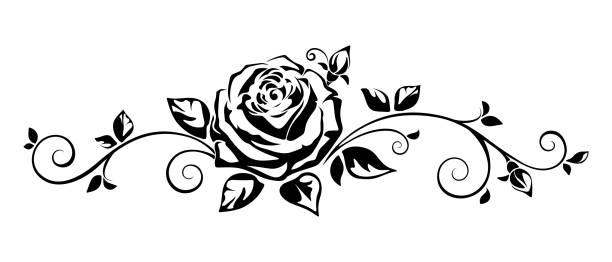 Horizontal vignette with a rose. Vector illustration. Vector horizontal black and white vignette with a rose. flowers tattoos stock illustrations