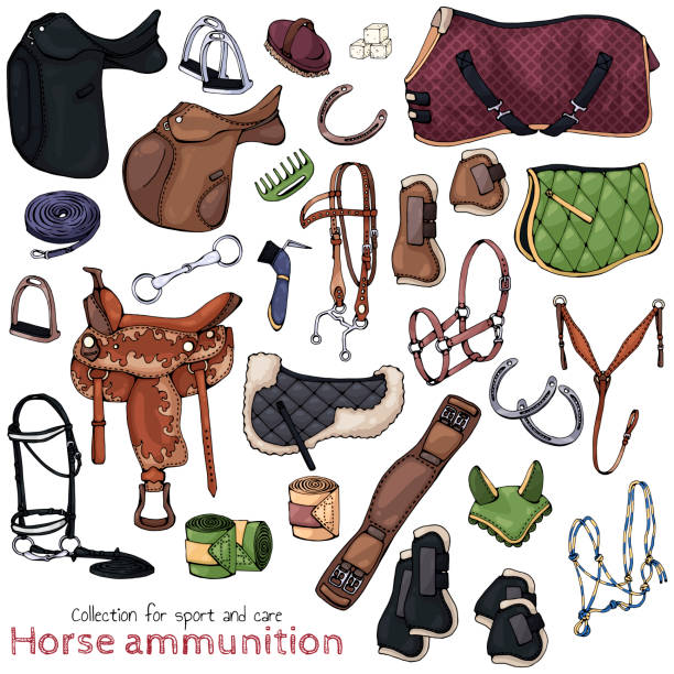 Horse ammunition Group of vector illustrations on the theme horse ammunition; set of isolated objects for equestrian sport and care. stirrup stock illustrations