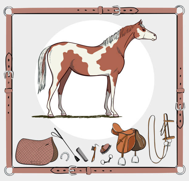 Horse and riding tack tools in leather belt frame. Bridle, saddle, stirrup, brush, bit, harness, whip equine harness equipments. Hand drawing cartoon vector equestrian sport equestrian background set. horse borders stock illustrations