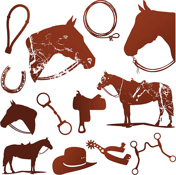 Horse And Western Riding Silhouettes Set Set of vector silhouettes of horse and Western Riding related design elements with texture. saddle stock illustrations