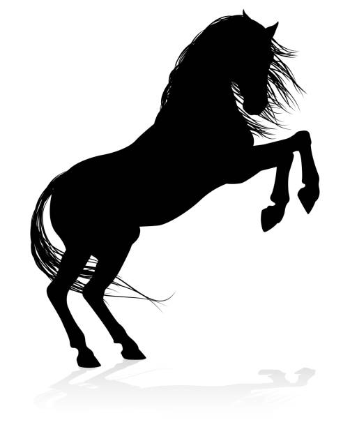 Horse Animal Silhouette A high quality very detailed horse in silhouette horse clipart stock illustrations