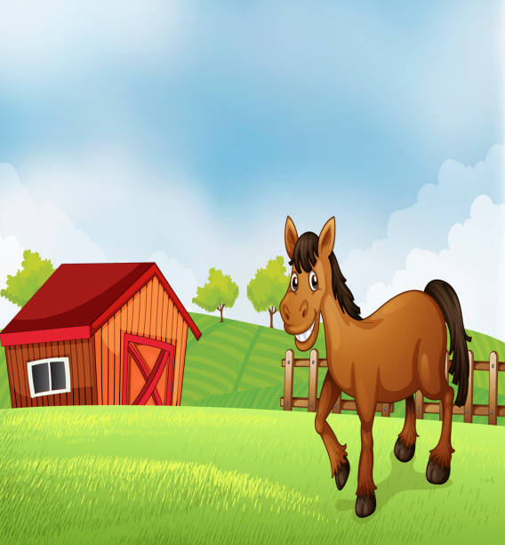bildbanksillustrationer, clip art samt tecknat material och ikoner med horse at the farm - smiling earth horse