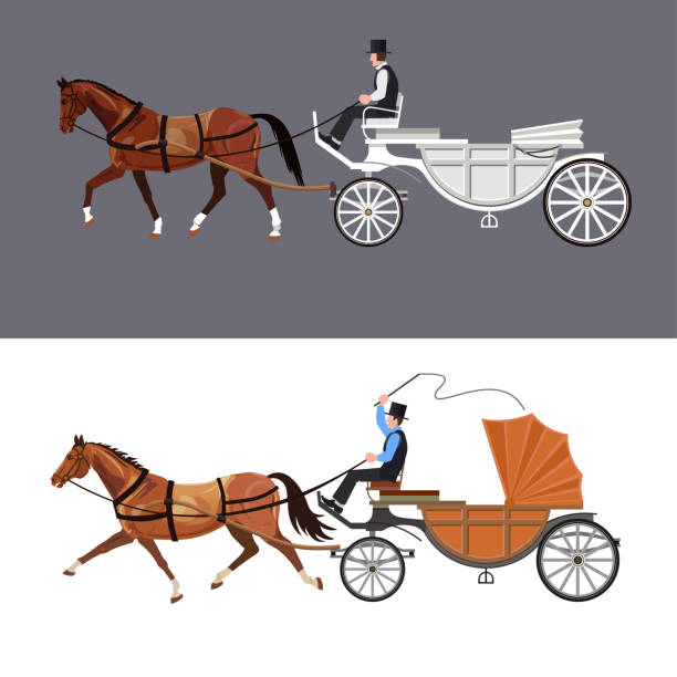 Horse carriage vector Set of vector horse carriage with bay horse and driver carriage stock illustrations