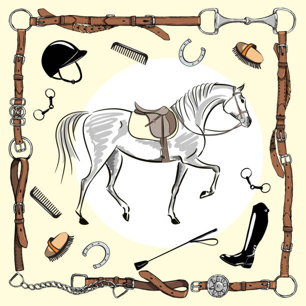 Horse equestrian riding gear tack tool in leather belt bridle frame on white. Vector saddlery set bit, whip, brush, horse shoe, riding boot, snaffle. Equine cartoon hand drawing background. horse borders stock illustrations
