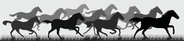 bildbanksillustrationer, clip art samt tecknat material och ikoner med häst hästar körs siluett - hinder häst