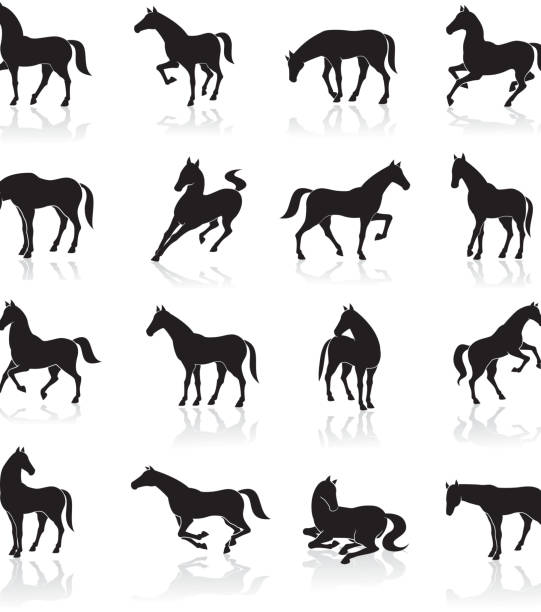 bildbanksillustrationer, clip art samt tecknat material och ikoner med horse icon set - foal isolated