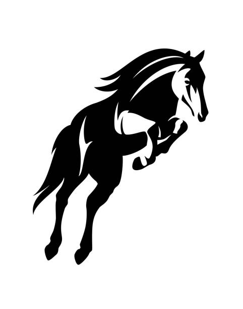 ホースジャンプ黒と白のベクトルデザイン - 雄馬点のイラスト素材／クリップアート素材／マンガ素材／アイコン素材