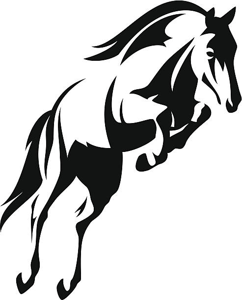 horse jump beautiful jumping horse black and white vector outline (high-resolution JPEG included) horse clipart stock illustrations