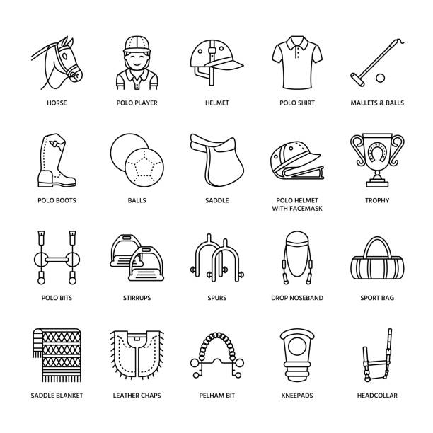 Horse polo flat line icons. Vector illustration of horses sport game, equestrian equipment - saddle, leather boots, harness, spurs. Linear signs set, championship pictograms for event, gear store Horse polo flat line icons. Vector illustration of horses sport game, equestrian equipment - saddle, leather boots, harness, spurs. Linear signs set, championship pictograms for event, gear store. pony stock illustrations