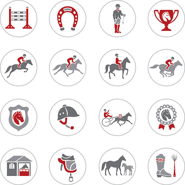 bildbanksillustrationer, clip art samt tecknat material och ikoner med horse racing icons - foal isolated