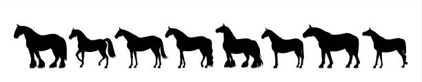 Horse silhouette banner silhouette Horses in a row. shire horse stock illustrations
