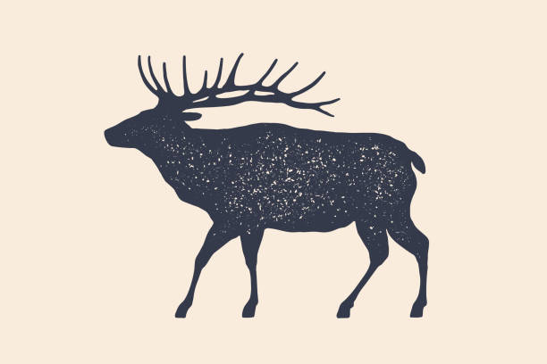 Horse, stallion. Concept design of farm animals Elk, wild deer. Concept design of farm animals - Elk side view profile. Isolated black silhouette elk or wild deer on white background. Vintage retro print, poster, icon. Vector Illustration moose stock illustrations