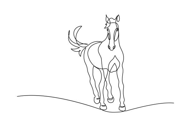 Horse Horse in continuous line art drawing style. Graceful horse running black linear sketch isolated on white background. Vector illustration horse symbols stock illustrations