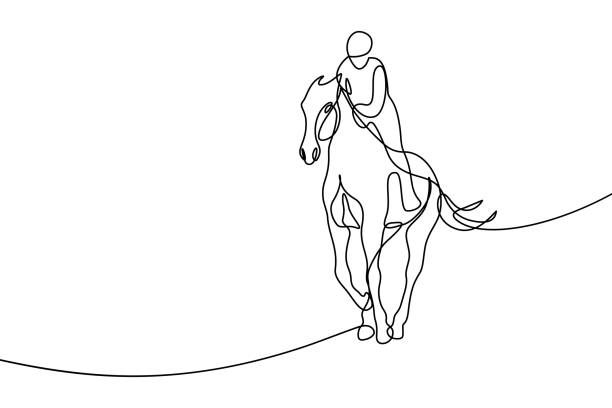 Horseback rider Horseback rider in continuous line art drawing style. Equestrian sport black linear sketch isolated on white background. Vector illustration horse clipart stock illustrations