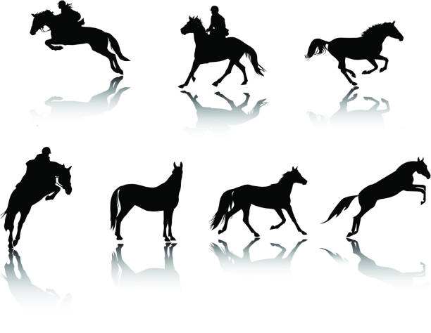 stockillustraties, clipart, cartoons en iconen met horses silhouettes - jumping