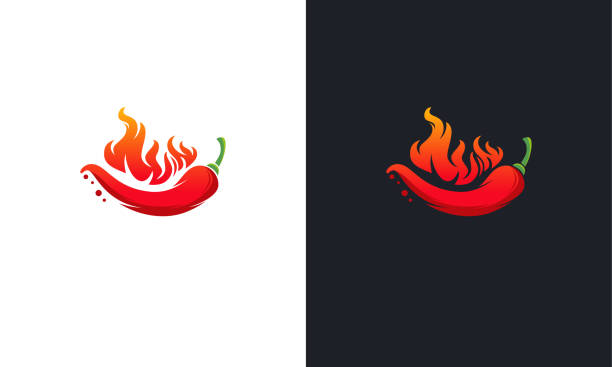 hot chili logo designs konzept vektor, fire chili logo-symbol, gewürz-lebensmittel-symbol-symbol - chili schote stock-grafiken, -clipart, -cartoons und -symbole