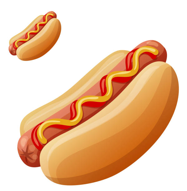 Hot dog. Detailed vector icon isolated on white background Hot dog. Detailed vector icon isolated on white background. Series of food and drink and ingredients for cooking. hot dog stock illustrations